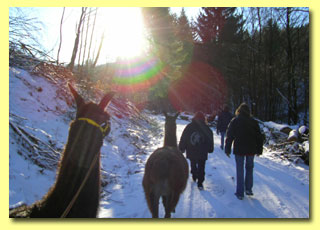 Wanderung im Winter